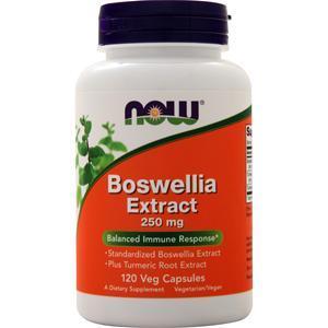Now Boswellia Extract (250mg) 120 vcaps