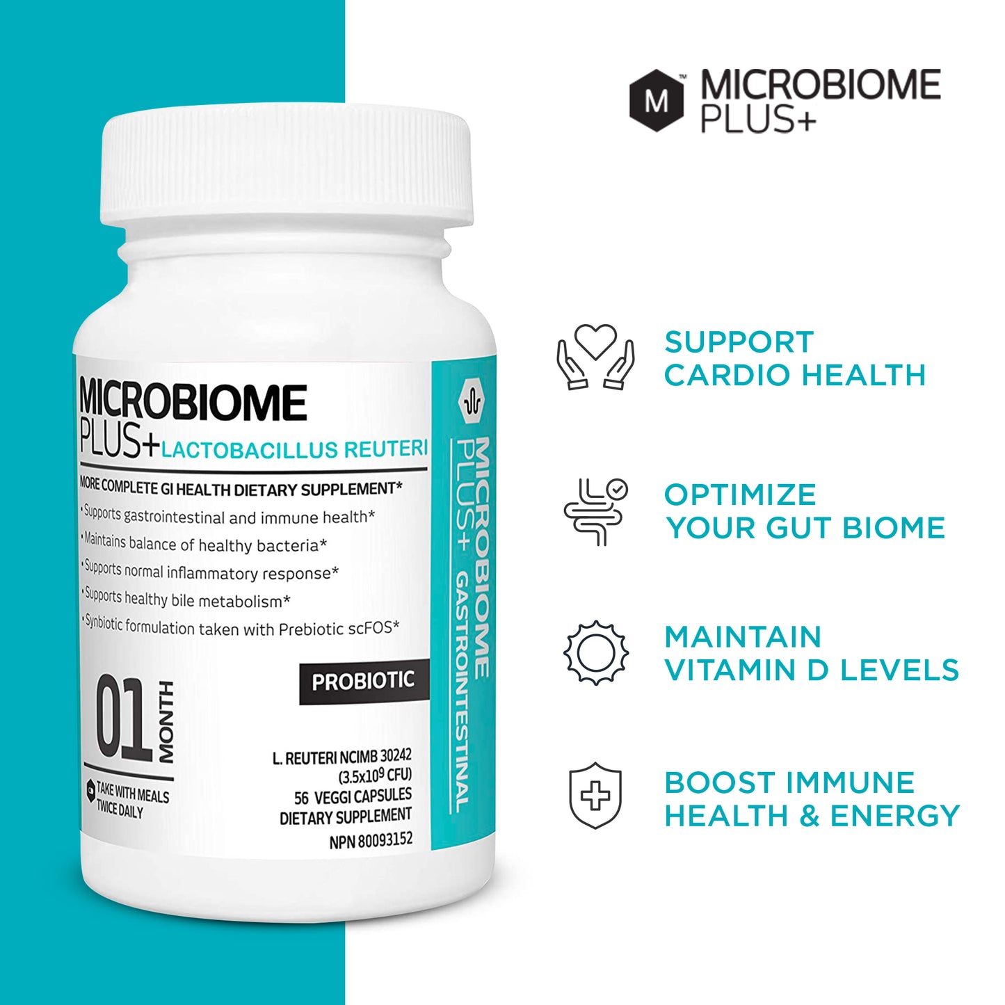 Microbiome Plus+ Probiotic Lactobacillus Reuteri NCIMB 30242