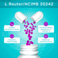 Microbiome Plus+ Probiotic Lactobacillus Reuteri NCIMB 30242