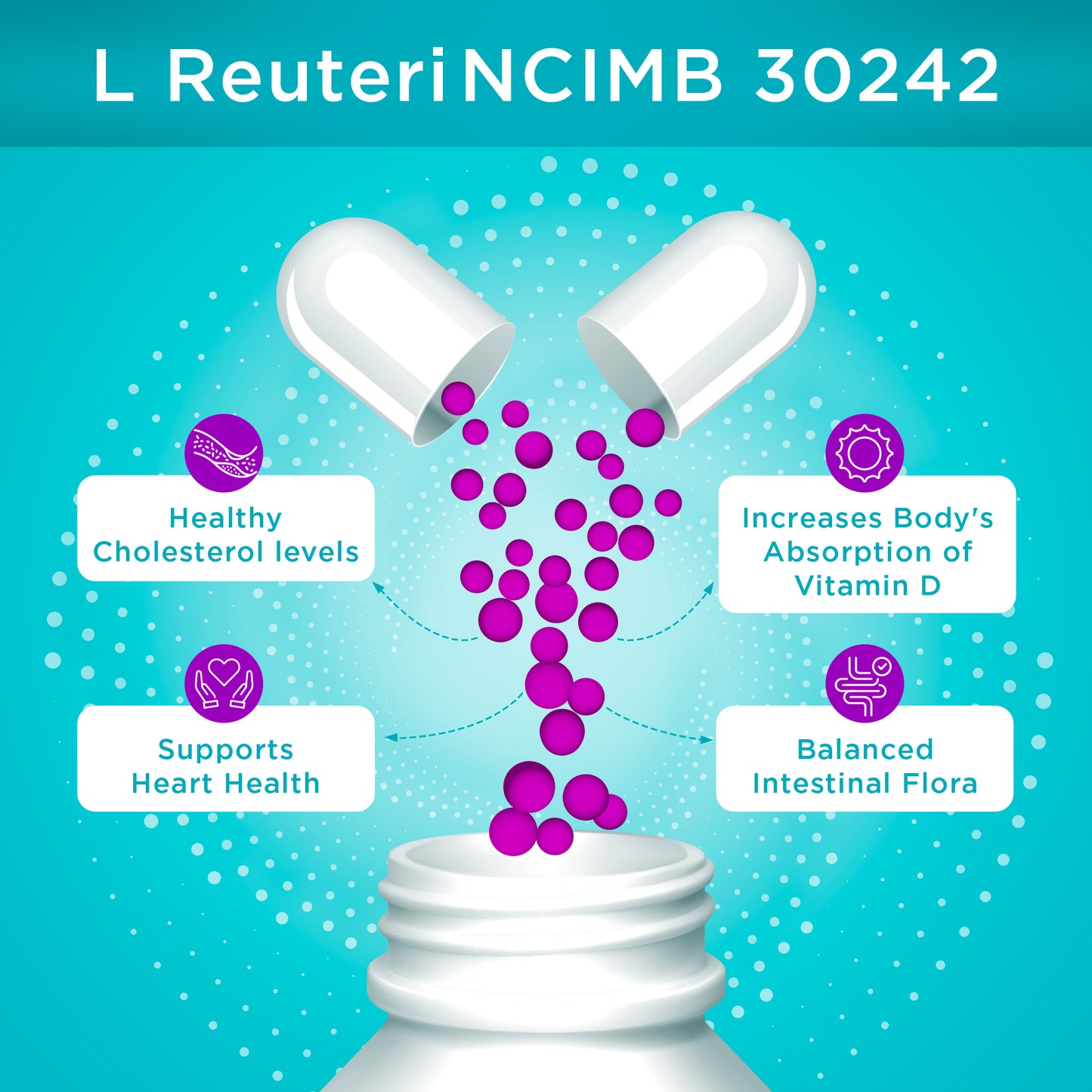 Microbiome Plus+ Probiotic Lactobacillus Reuteri NCIMB 30242