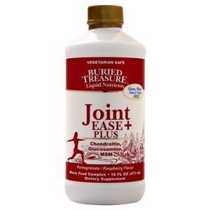 Buried Treasure Joint-Ease Complete  16 fl.oz